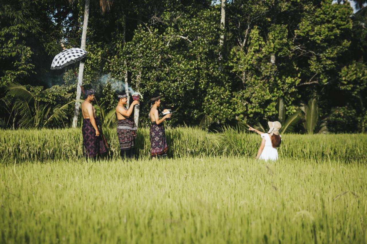Sunshine Villas Ubud ภายนอก รูปภาพ